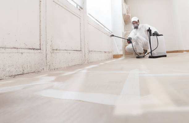 24/7 Emergency Bathroom Mold Removal experts in Friedens, PA